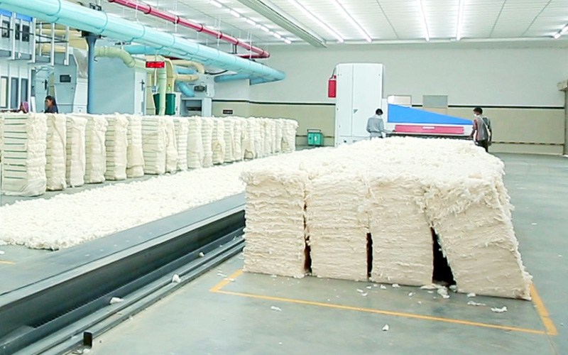The Rajasthan Textile Mills Association
